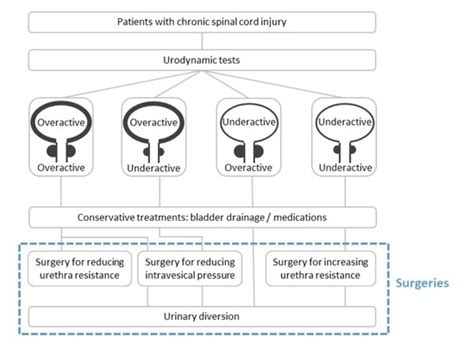 Jcm Free Full Text Current Surgical Treatment For Neurogenic Lower