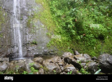 Manoa Falls Oahu Island Hawaii USA Stock Photo - Alamy