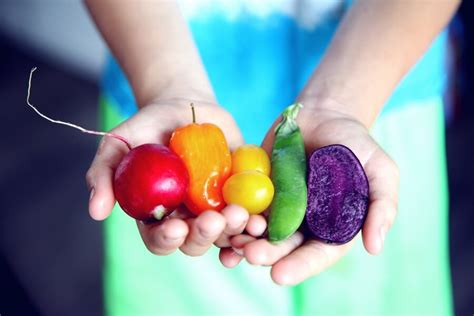 Pourquoi Manger Des L Gumes Raisons Surprenantes Nourris Ton Corps