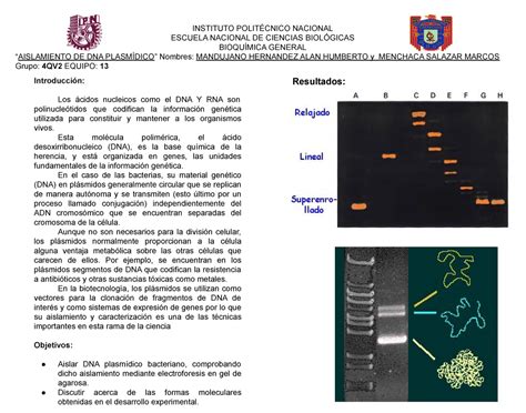 Informe Bioquimica Aislamiento De Dna Plasm Dico Escuela Nacional De