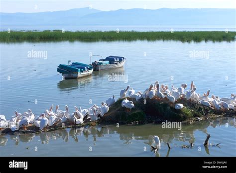 Lake chapala mexico hi-res stock photography and images - Alamy