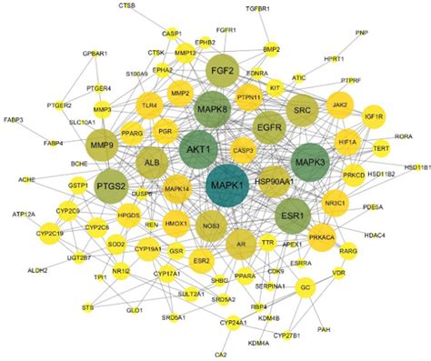 Ppi Network Ppi Protein Protein Interaction Download Scientific Diagram