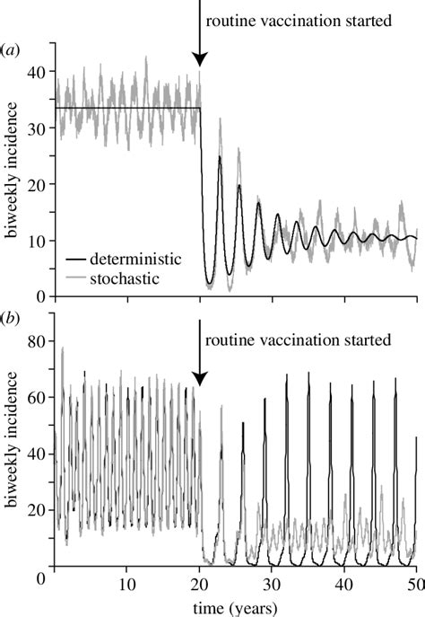 Endemic Dynamics Of Deterministic And Stochastic SIR Models Of A