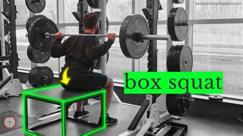 benefits  box squats   box squat effectively