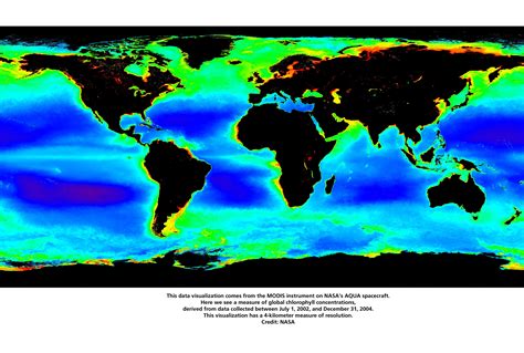 Breakthrough System for Understanding Ocean Plant Life Announced | UC ...