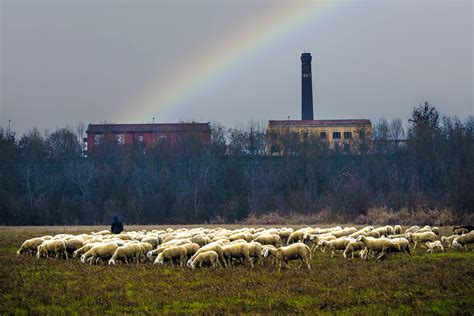 Premiate le foto vincitrici del concorso naturAzioni è NaturAzioni