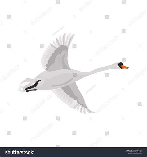 1,534 Cartoon Flying Swan Images, Stock Photos & Vectors | Shutterstock