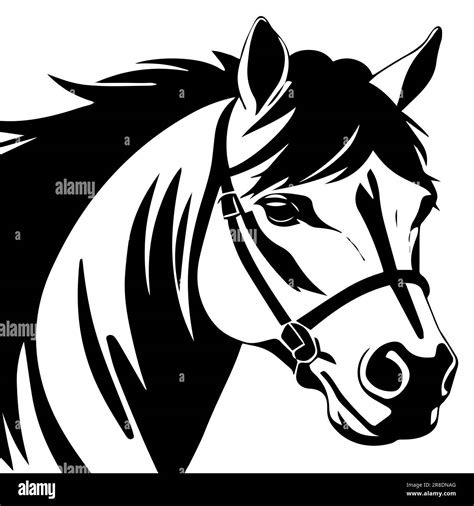 Cabeza de caballo blanco y negro ilustración vectorial Imagen Vector de