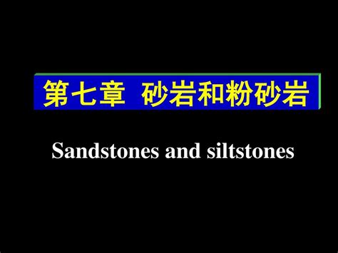 沉积岩石学第七章word文档在线阅读与下载无忧文档