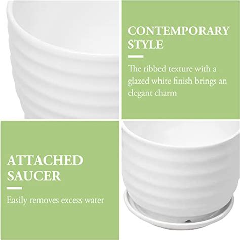 Modern White Ceramic Plant Pots Set House Plants Expert