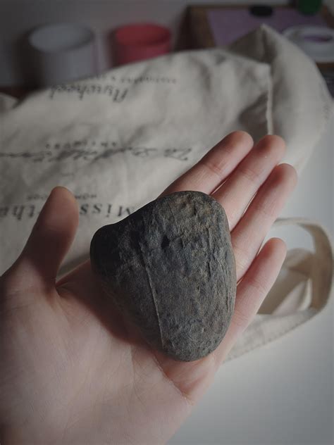 What Causes The Lines And Grooves On This Rock I Found Sydney