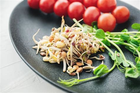 Ensalada De Semillas Germinadas De Las Lentejas Del Guisante Del Lino Y