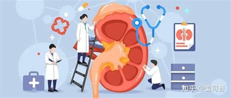 世界肾脏病日呵护肾脏 关爱健康 知乎