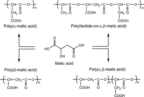 Examples For Malic Acid Polymers Download Scientific Diagram