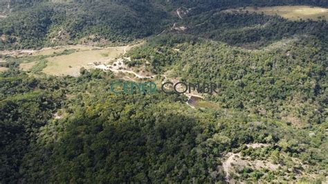 Boa Fazenda De Ha Estrutura Para Pecu Ria Em Jequitinhonha Por