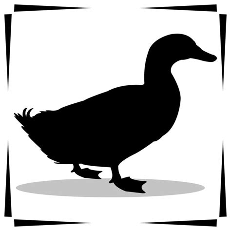 Premium Vector | Duck silhouette illustrations ducks silhouette icon