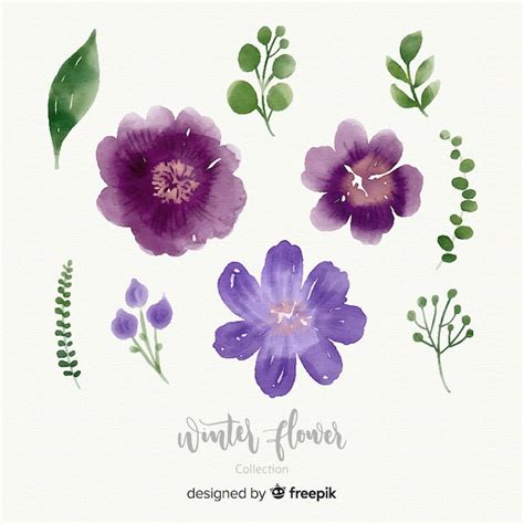 Free Vector Watercolor Winter Flower Collection