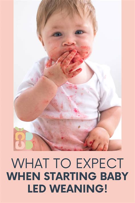 What To Expect With Baby Led Weaning - Baby Led Bliss
