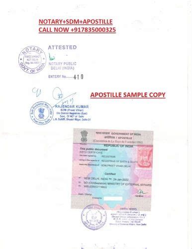 Educational Certifcate China Embassy Attestation Process At Rs 2000document In Gautam Budh