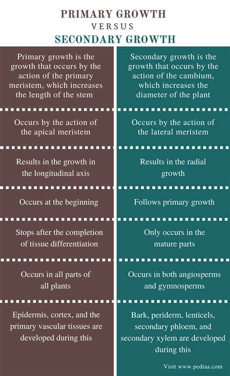 difference  primary  secondary growth definition