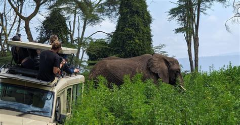 Safari De D As Al Parque De Tarangire Ngorongoro Y Lago Manyara