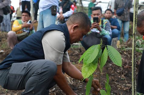 Wujudkan Bulungan Hijau Pemkab Tambah Anggaran Kaltaratv