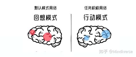 正念冥想和脑科学研究，谁在谁的边界里？当用科学去研究内心世界，最大的局限是什么？ 知乎