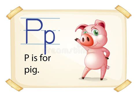 A Letter P For Pig Stock Vector Illustration Of Design