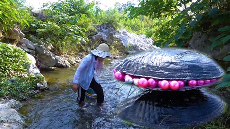 The Beautiful Woman Found A Huge Clam In The Clear Stream Containing