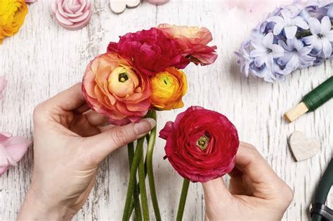 How To Arrange Ranunculus Blooms Cascade Floral Wholesale