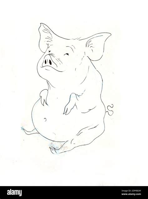 Pen Drawing of a Fat Pig with Belly Button Stock Photo - Alamy