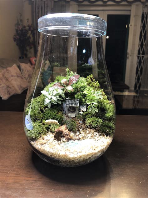 Terrarium Scene Terrarium Jar Terrarium Decor Garden Terrarium