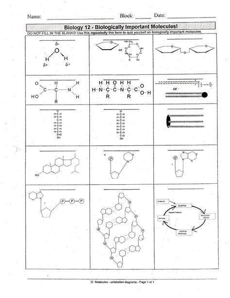 Five Simplified Diagrams Of Biological Molecules