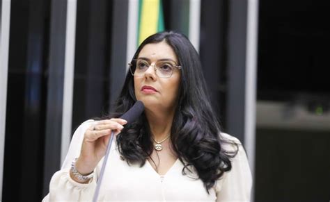 Comiss O Aprova Projeto Que Exige Dos Planos Municipais Puni O Para