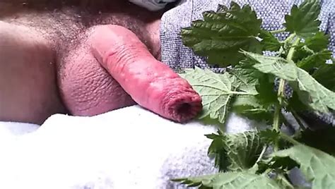Lockdown Nettles On Cock Part Gay Spanking Porn XHamster