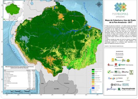 Amazônia perdeu 1 Equador em florestas apenas neste século