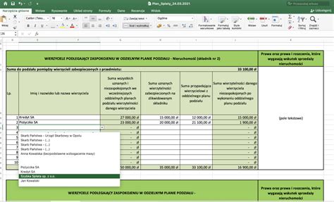 Arkusz Kalkulacyjny Do Przygotowania Planu Sp Aty Wierzycieli W