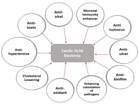 Applied Microbiology Free Full Text Lactic Acid Bacteria As Mucosal