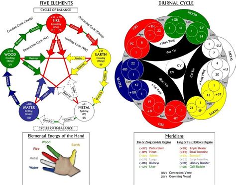 elements diurnal cycle  trigrams  palms  trigrams