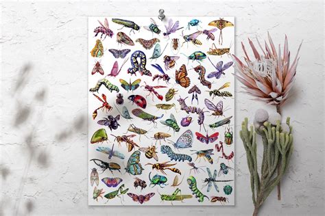 Entomology Poster Insect Art Science Print Wall Hanging - Etsy