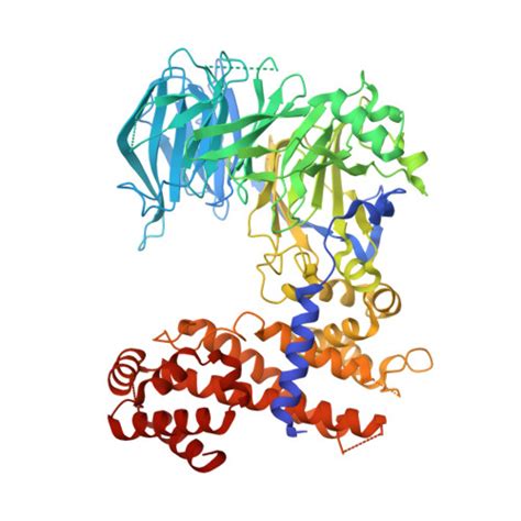 Rcsb Pdb 4mhc Crystal Structure Of A Nucleoporin