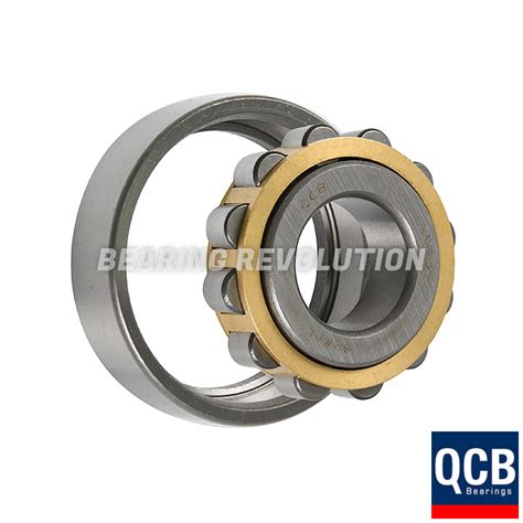 Nf 305 Nf Series Cylindrical Roller Bearing With A 25mm Bore Brass