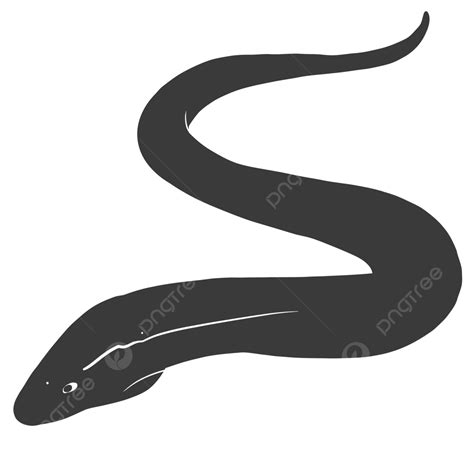 Eels Vector Png Vector Psd And Clipart With Transparent Background