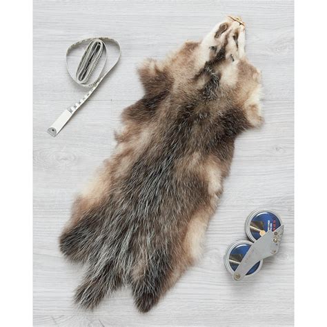 Opossum Fur Pelts Tanned Skins FurSource