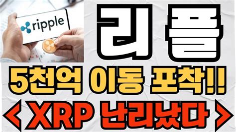 리플 코인 긴급 5천억 이동 포착됐다 Xrp 난리난 이유 리플ceo 폭탄발표 리플목표가 리플호재 리플전망 리플