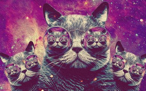 Trippy Cat For Your Mobile Tablet Explore Trippy Cat Trippy