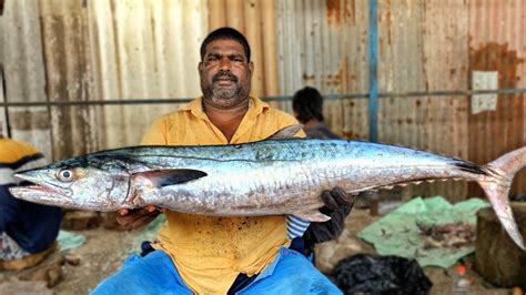 Kasimedu Minnal Raja Huge Giant King Seer Fish Cutting Video K