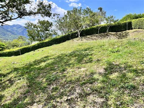 Venta De Lote O Casalote En Naranjal Villeta M