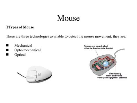 Ppt Mouse Powerpoint Presentation Free Download Id5441168