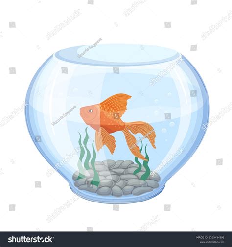 Aquarium Fish Vector Illustration Cartoon Isolated Stock Vector